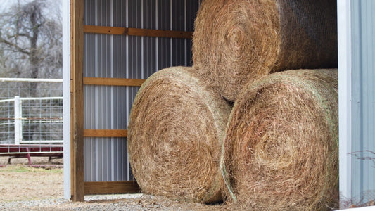 Bale Net Wrap - An Essential Tool for Farmers - XES Bale Net Wrap