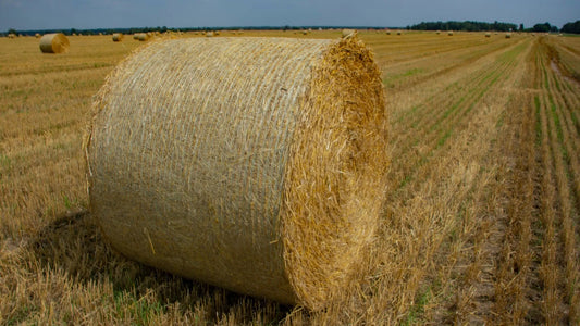 Understanding Cost of Bale Net Wrap: Balancing Quality, Affordability and Efficiency - XES Bale Net Wrap