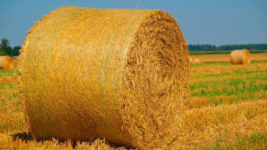 Innovative Preservation: The Future of Haylage in Polymeric Film-Wrapped Round Bales - XES Netting