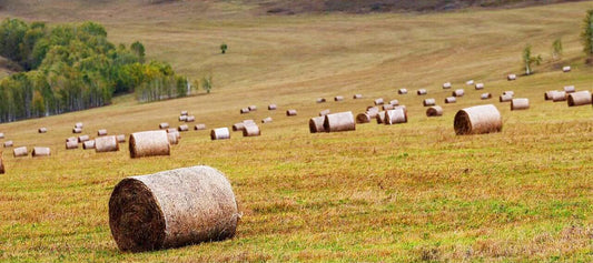 Optimal Stacking Methods for Large Round Bales: Preserving Hay Quality and Storage Efficiency - XES Netting