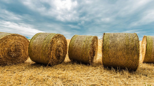 Study of Different Storage Methods for Large Round Hay Bales - XES Bale Net Wrap