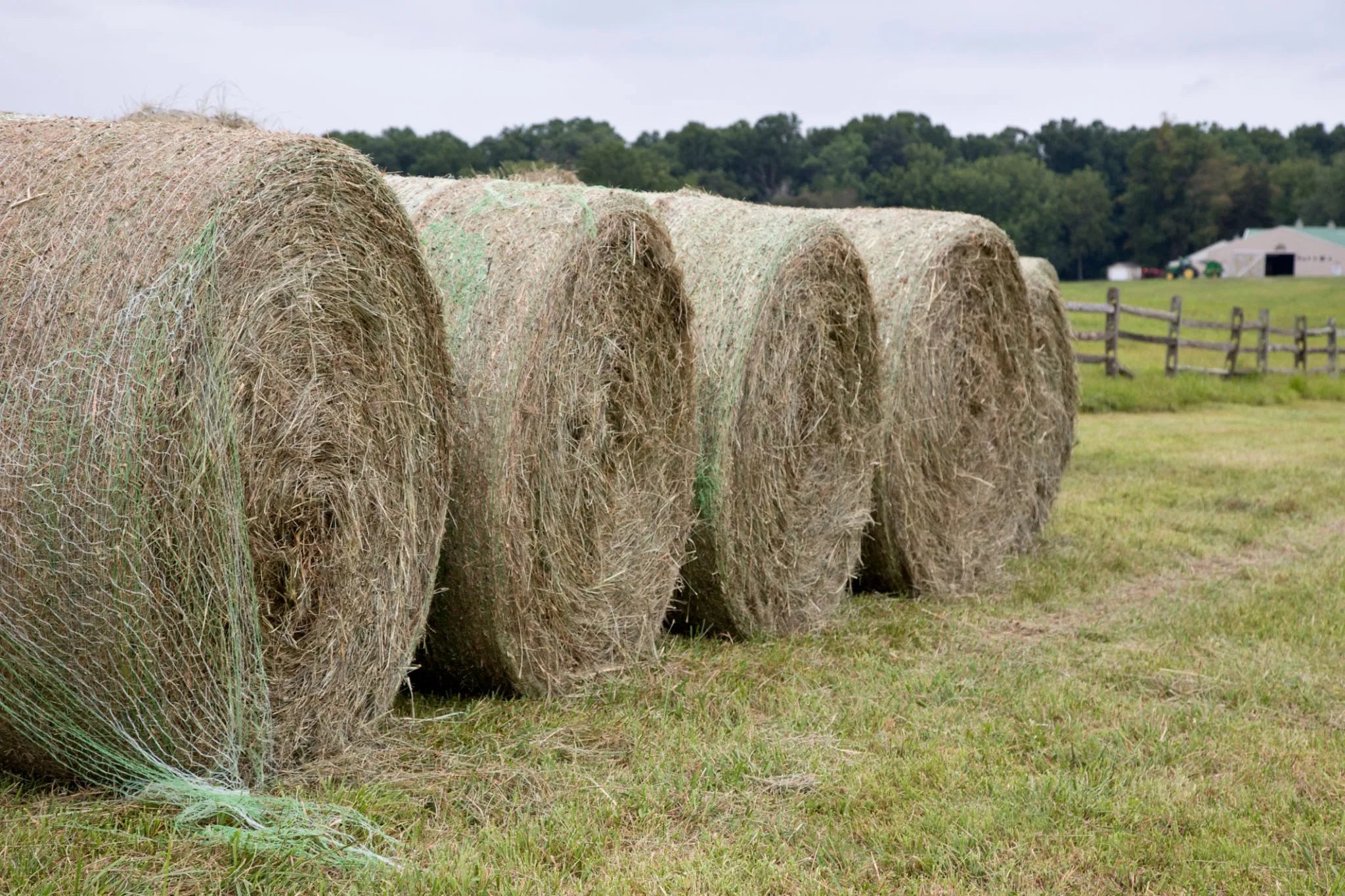 Innovative Bale Net Wrap Designs for Enhanced Strength and Efficiency ...
